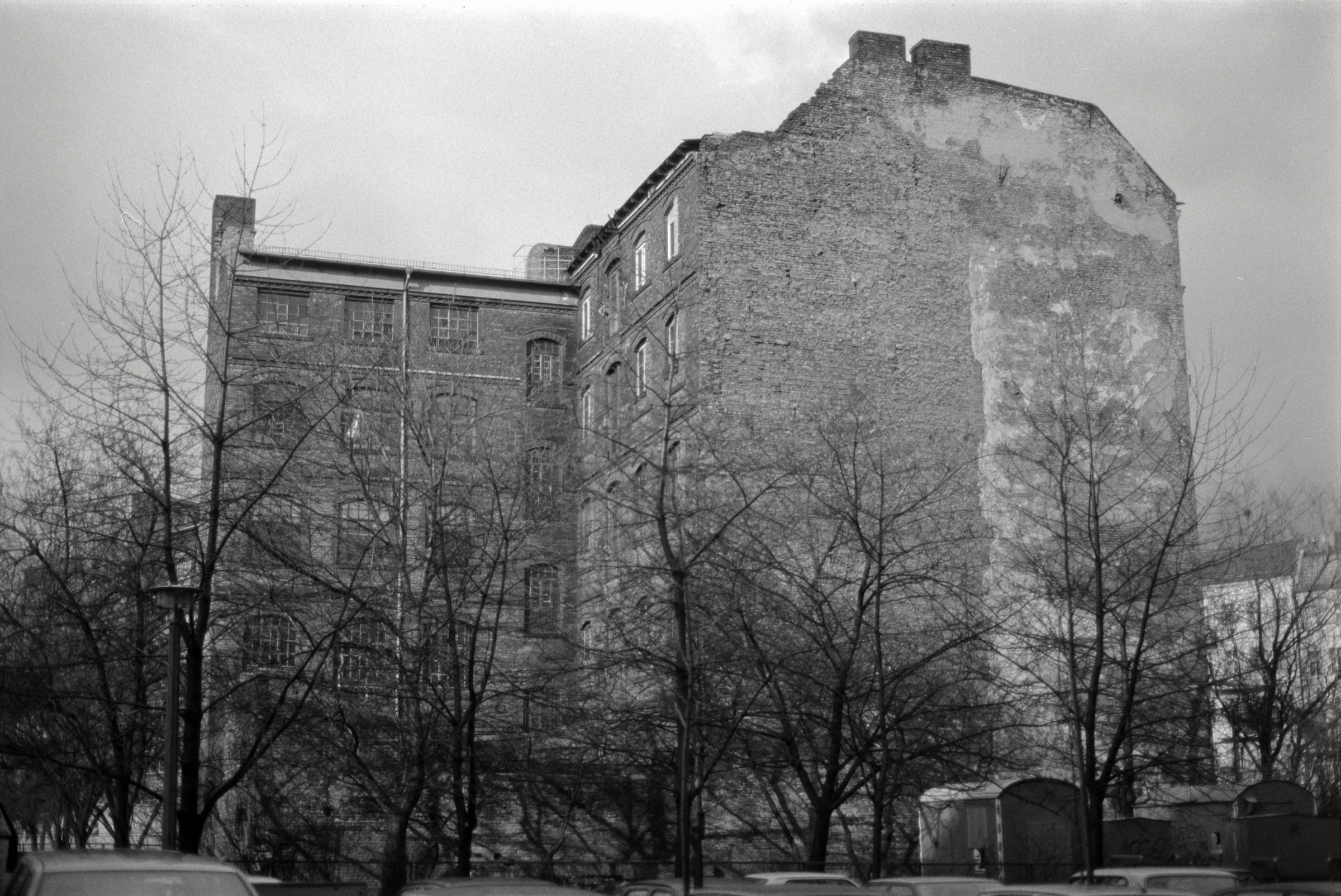 AHP F1993 03 005 sc240902 img17 NLP